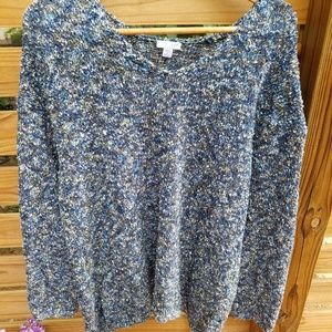 J.Jill Marled V Neck Sweater